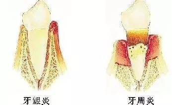 images/4/2017/04/CTMAT33XMMHHGT8MHT1MHRMMHAM51T.jpg