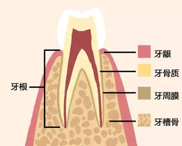 images/4/2017/04/NTTLT4LAGW9G599LPPGZ9T4HGDAWPD.jpg
