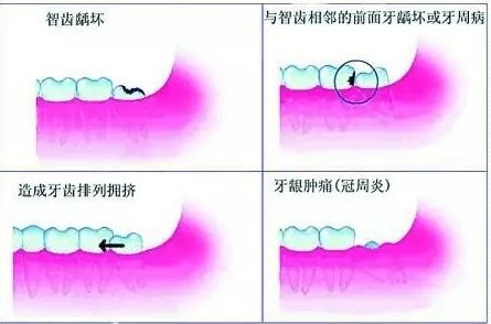 48655a460045fa49912cd86f7e6f9e7a.jpg